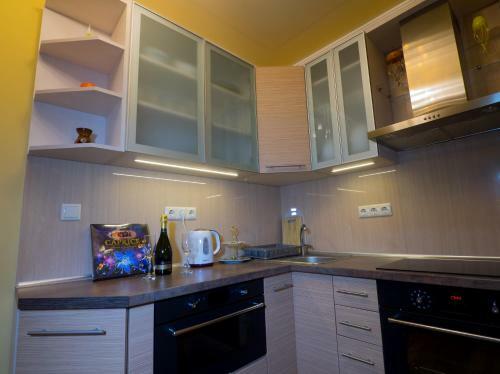 Apartamento Slovac-apartment