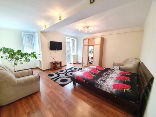 Art Home Rent New Apartments In The Centre