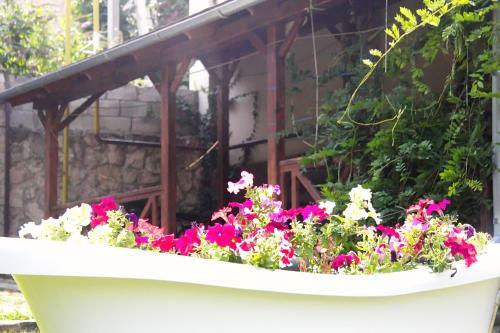 Hostal The Green Guest House