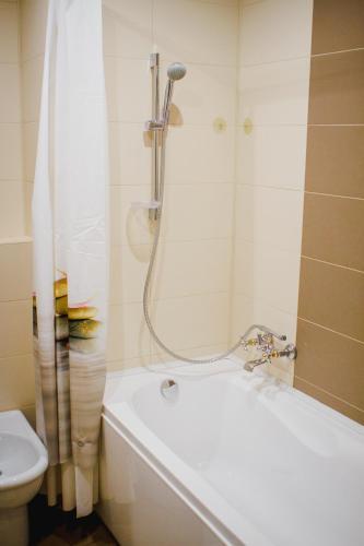 Apartment On Calea Iesilor 11/3