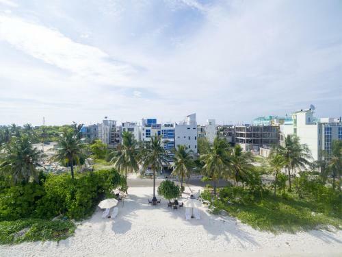 Hostal The White Harp Beach Hotel