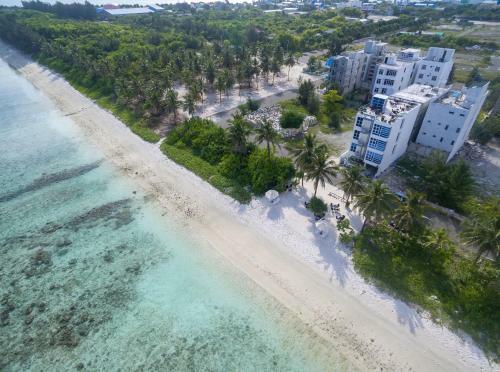 Hostal The White Harp Beach Hotel
