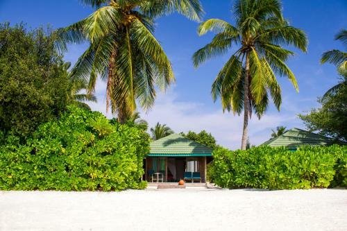 Hotel Canareef Resort Maldives