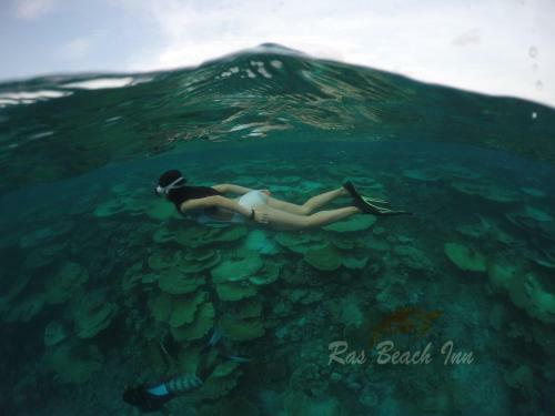 Hostal Ras Beach Inn