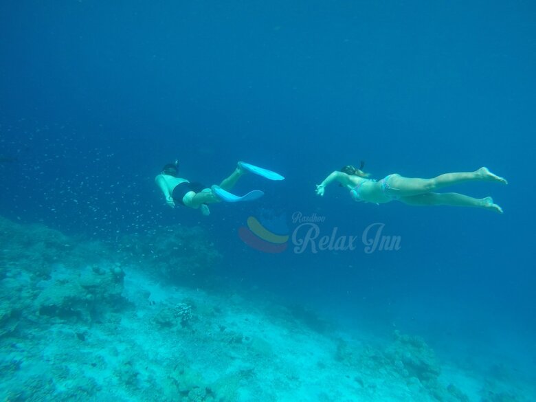 Hostal Rasdhoo Relax Inn