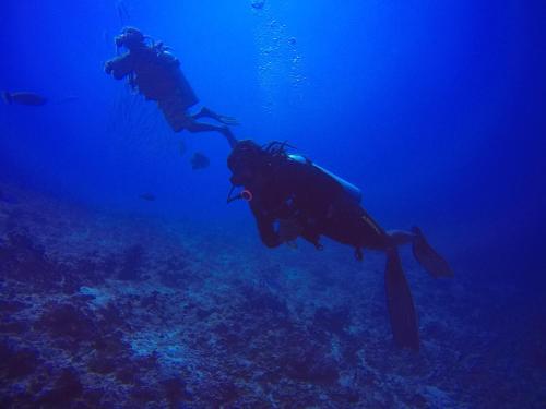 Hostal Rasdhoo Coralville