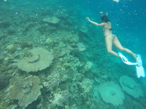 Hostal Rasdhoo Coralville