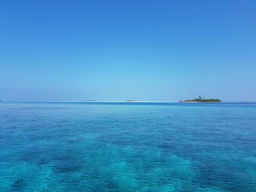 Hostal Rasdhoo Coralville