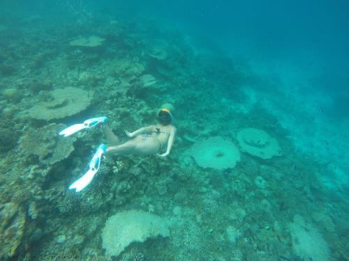 Hostal Rasdhoo Coralville