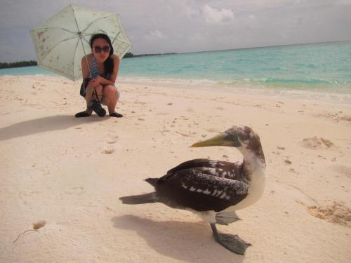 Hostal Rasdhoo Coralville