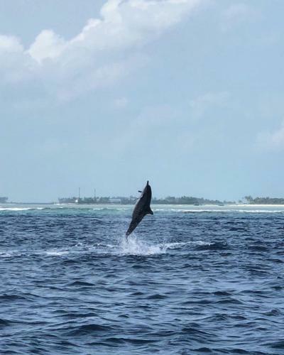 Hostal Luxury Beach Maldives
