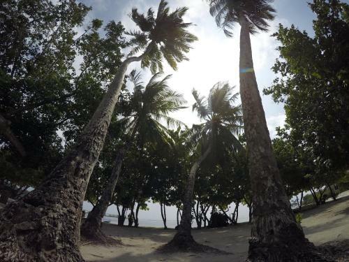 Hostal Rip Tide Vacation Inn, K.guraidhoo