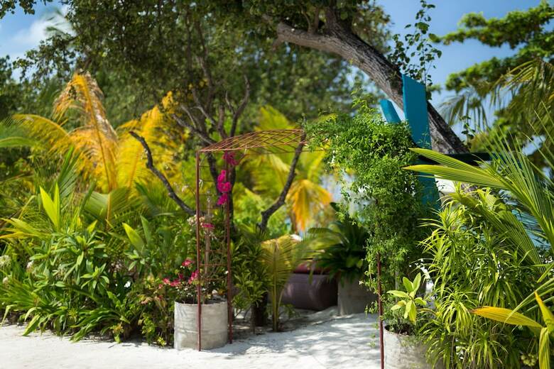 Hostal Tropical Village