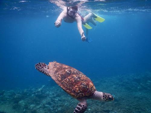 Hostal Equa Reef Maldives