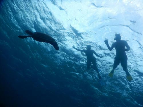 Hostal Equa Reef Maldives