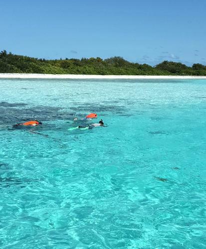 Hostal Equa Reef Maldives