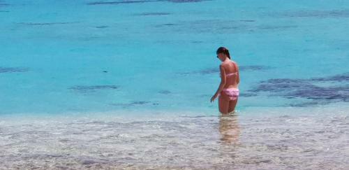 Hostal Equa Reef Maldives