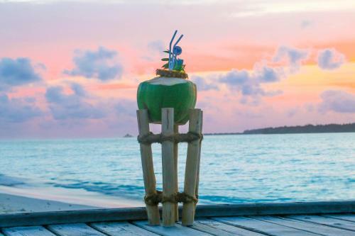 Hotel Holiday Island Resort