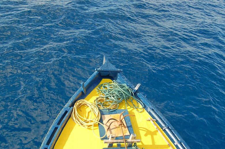 Hostal Vaali Beach Lodge Maldives