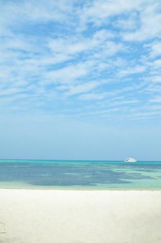 Hostal Whale Shark Inn