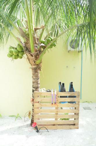 Hostal Whale Shark Inn
