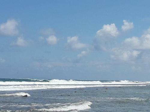 Hostal Muli Inn Surf View Maldives