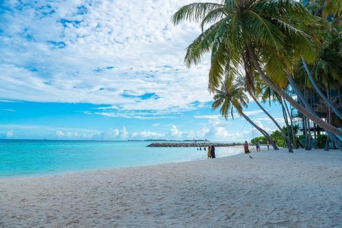 Hostal Maafushi Kurumba Villa
