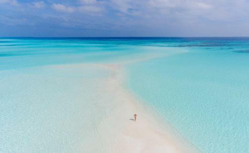 Hostal Olive Goidhoo