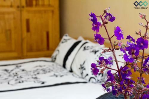 Bed & Breakfast Hill Of Grace