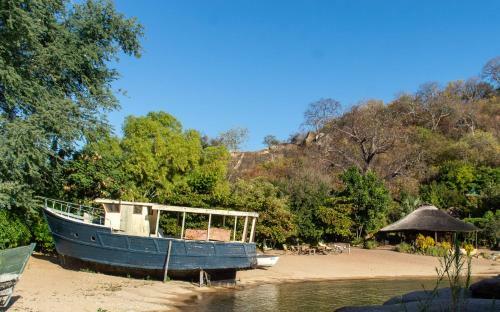 Mufasa Eco Lodge