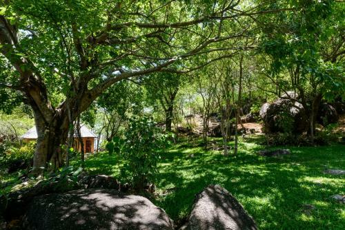 Hotel Makuzi Beach Lodge