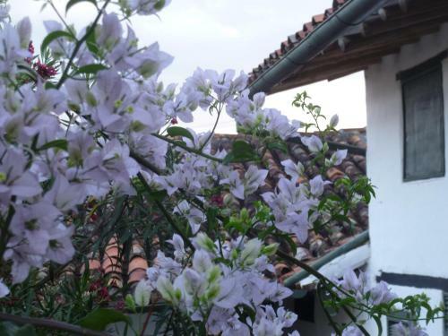 Hotel Hostal Mision Santa Barbara