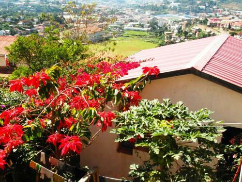 Hostal Three Palms Fianar