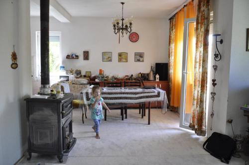 Villa Amika - Berovo
