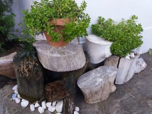 Apartamento House Aleks