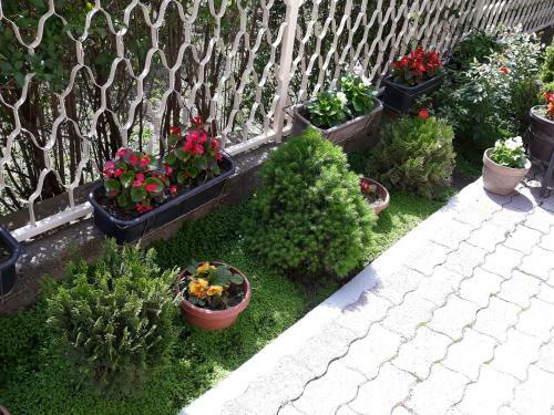 Apartamento Villa Domina