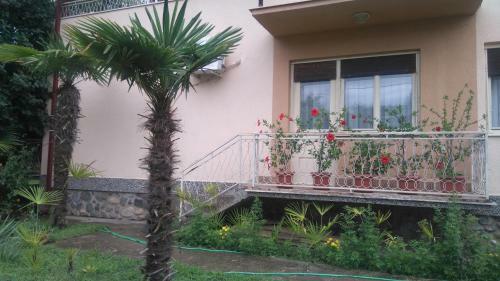 Magnolia Apartment