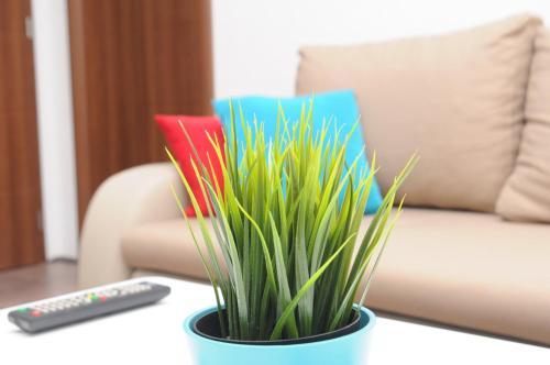 Apartamento Vila Magdalena