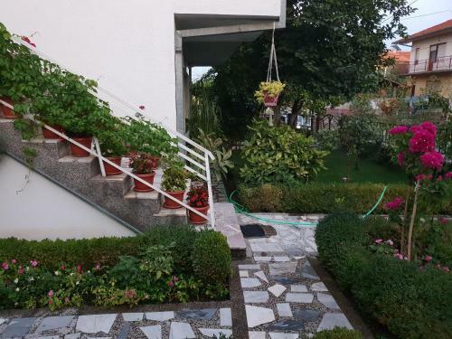 Apartamento Todorov House