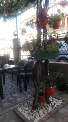 Homestay Zana House