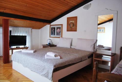 Hostal Vila Delfin