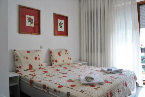 Hostal Vila Delfin