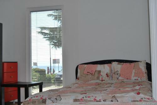 Hostal Vila Delfin