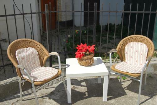 Hostal Vila Delfin