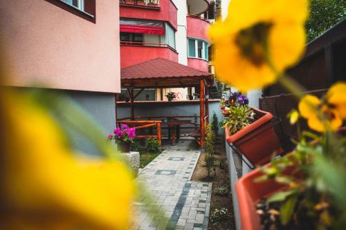 Skopje Downtown Hostel