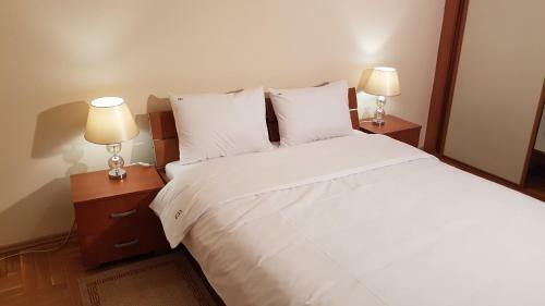 Golden Delight Central Apartment