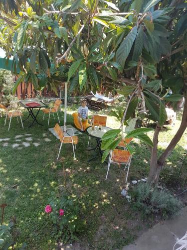 Hostal Vila Teodora