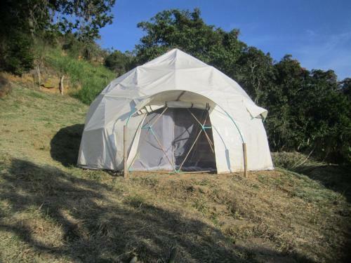 La Pacha Hostel