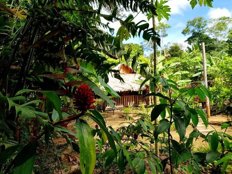 Hotel Omshanty Jungle Lodge