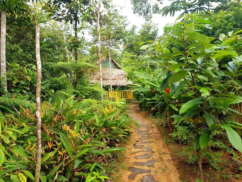 Hotel Omshanty Jungle Lodge